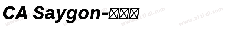 CA Saygon字体转换